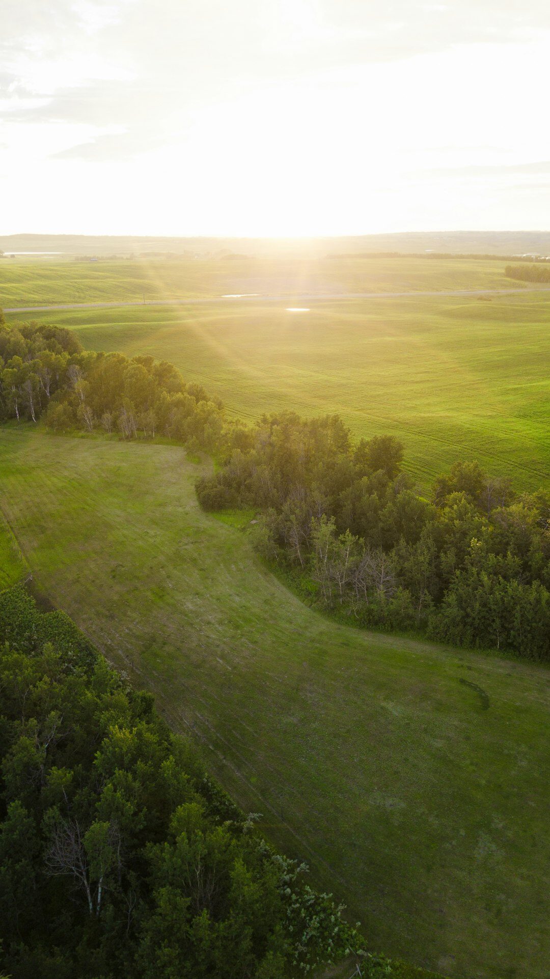 Drone flying over a green field at sunset